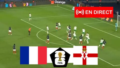 France Vs Irlande Du Nord : Streaming Gratuit Et Diffusion Tv
